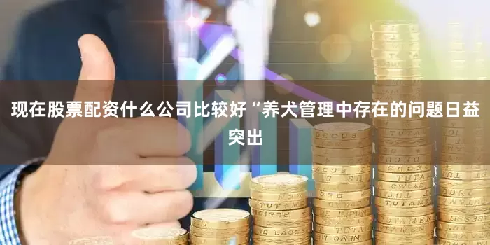 现在股票配资什么公司比较好“养犬管理中存在的问题日益突出