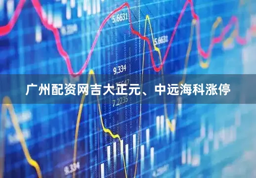 广州配资网吉大正元、中远海科涨停