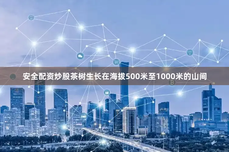 安全配资炒股茶树生长在海拔500米至1000米的山间