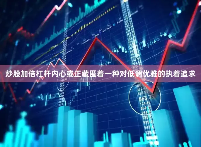 炒股加倍杠杆内心或正藏匿着一种对低调优雅的执着追求