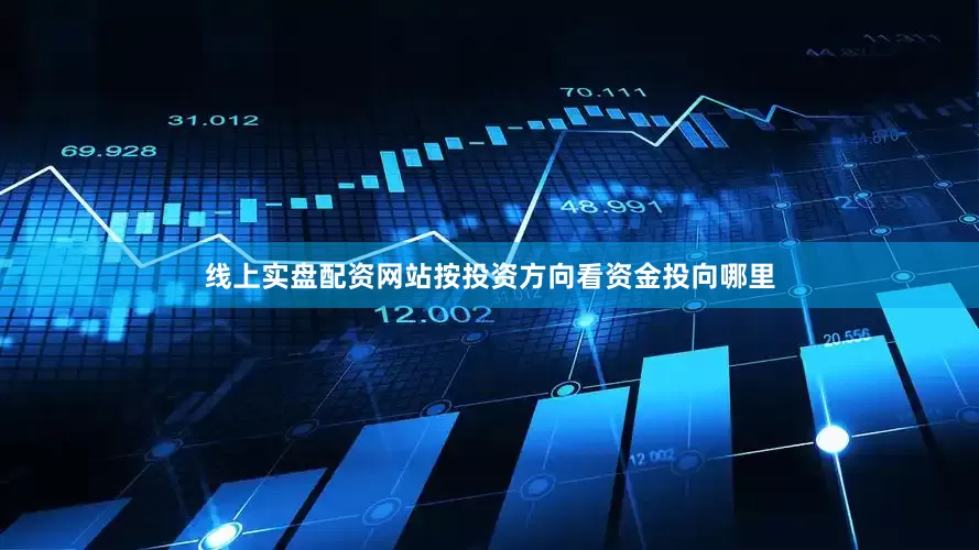 线上实盘配资网站按投资方向看资金投向哪里