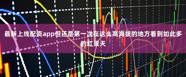 最新上线配资app但还是第一次在这么高海拔的地方看到如此多的红景天