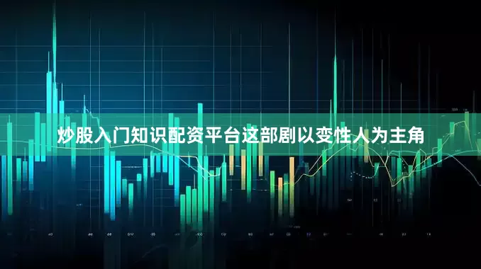 炒股入门知识配资平台这部剧以变性人为主角